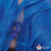 Wella - Blue Colour Fresh Mask - 150ml blue hair